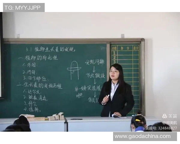 杨芳独家分享排球心得与技巧助你提升竞技水平和团队配合能力