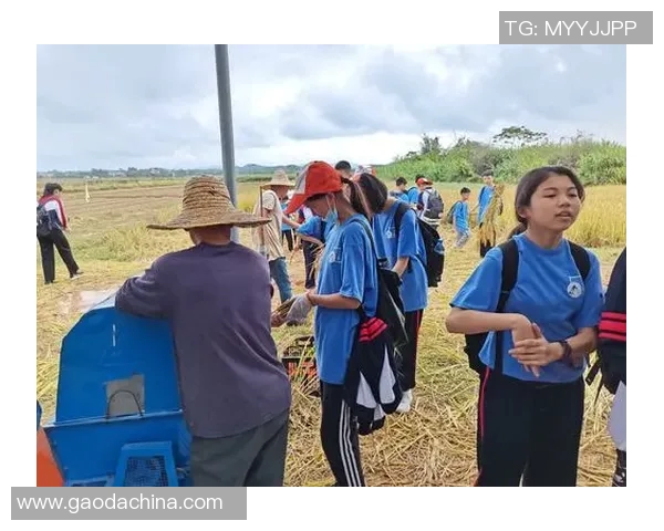 杨静回首篮球生涯的点滴瞬间与成长故事分享